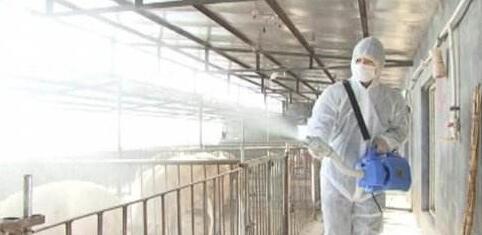 低烧鼻塞打喷嚏吃什么药,猪低烧和高烧的治疗方法一样吗