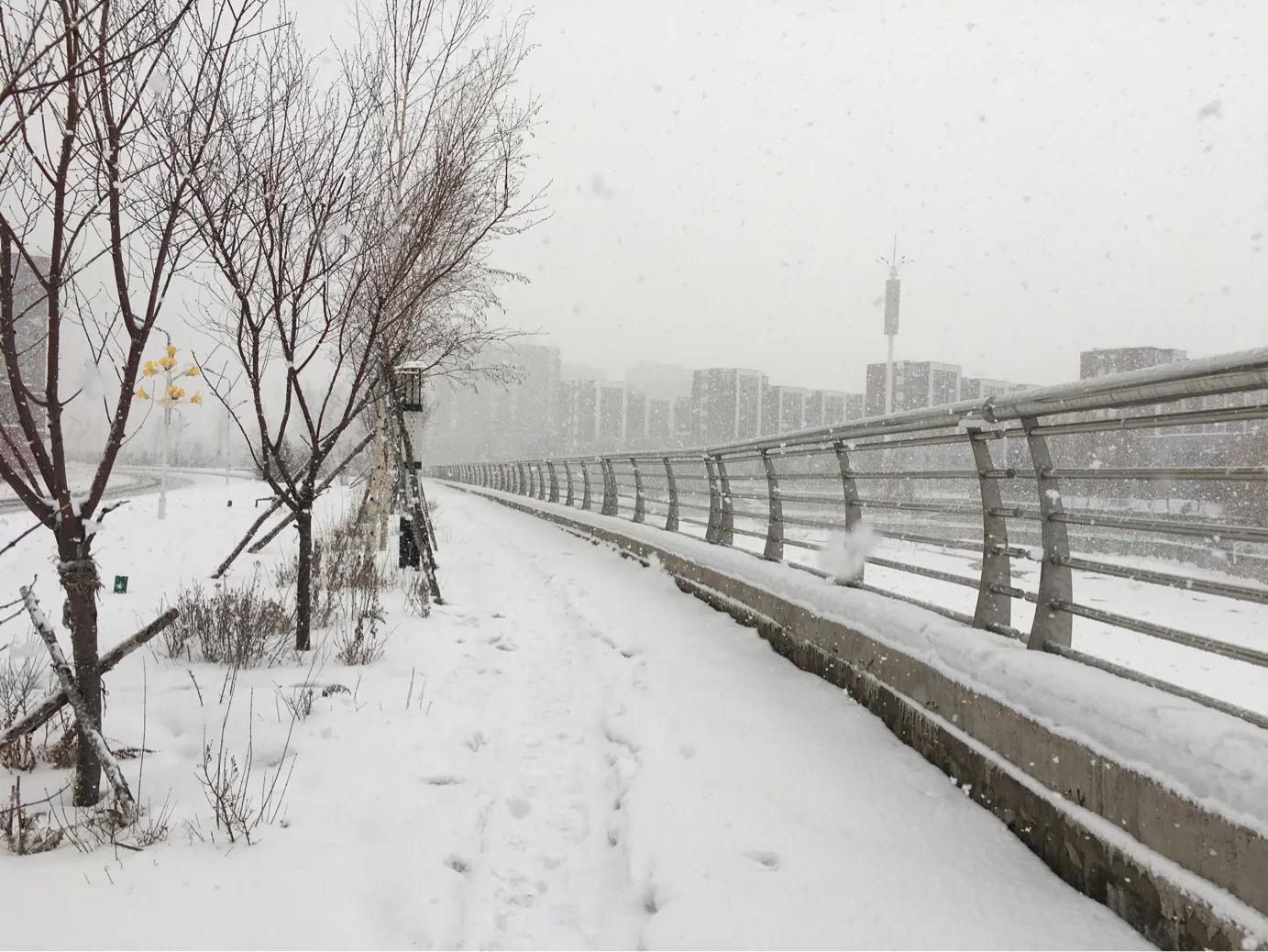 思念家乡青藏高原,思念家乡的嫩江