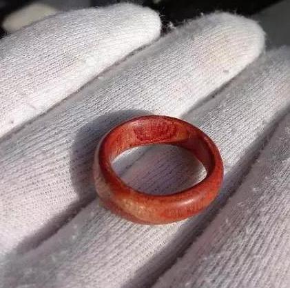 香椿树百木之王的由来,千树之王的故事对话