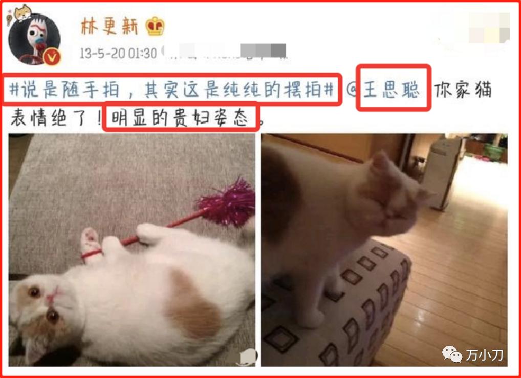 林更新和蒋梦婷演的电视,蒋梦婕林更新张静初王丽坤