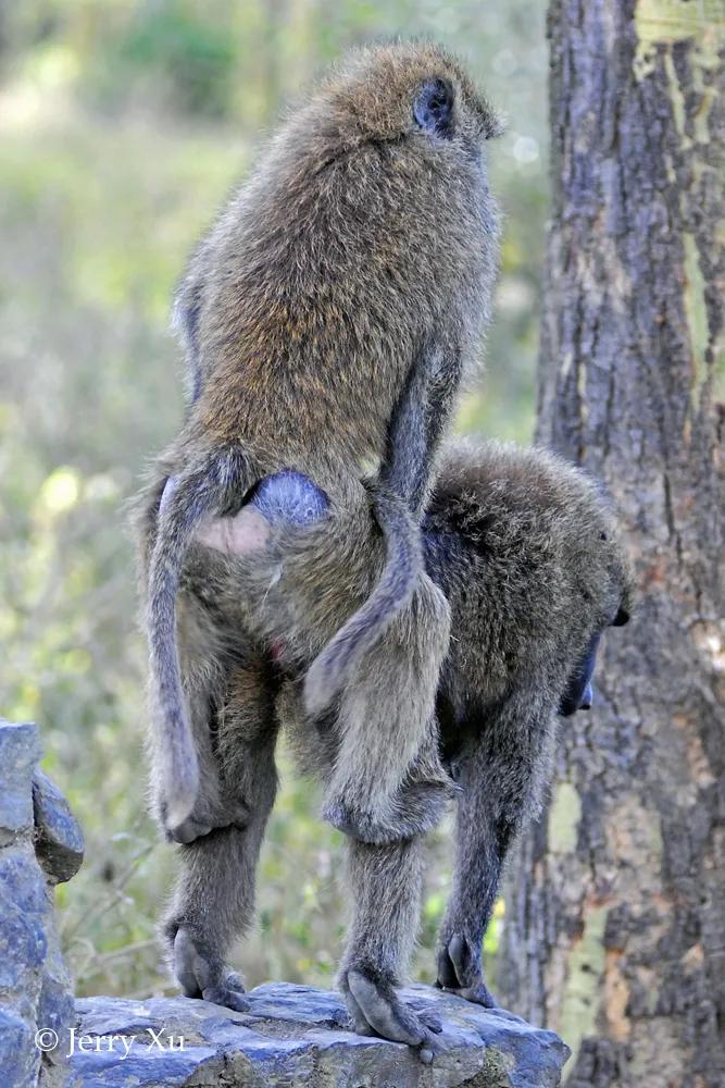 情人节，就该和爱的人*爱做**做的事