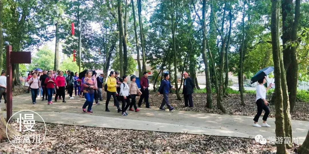 韩国富川旅行团,赞非