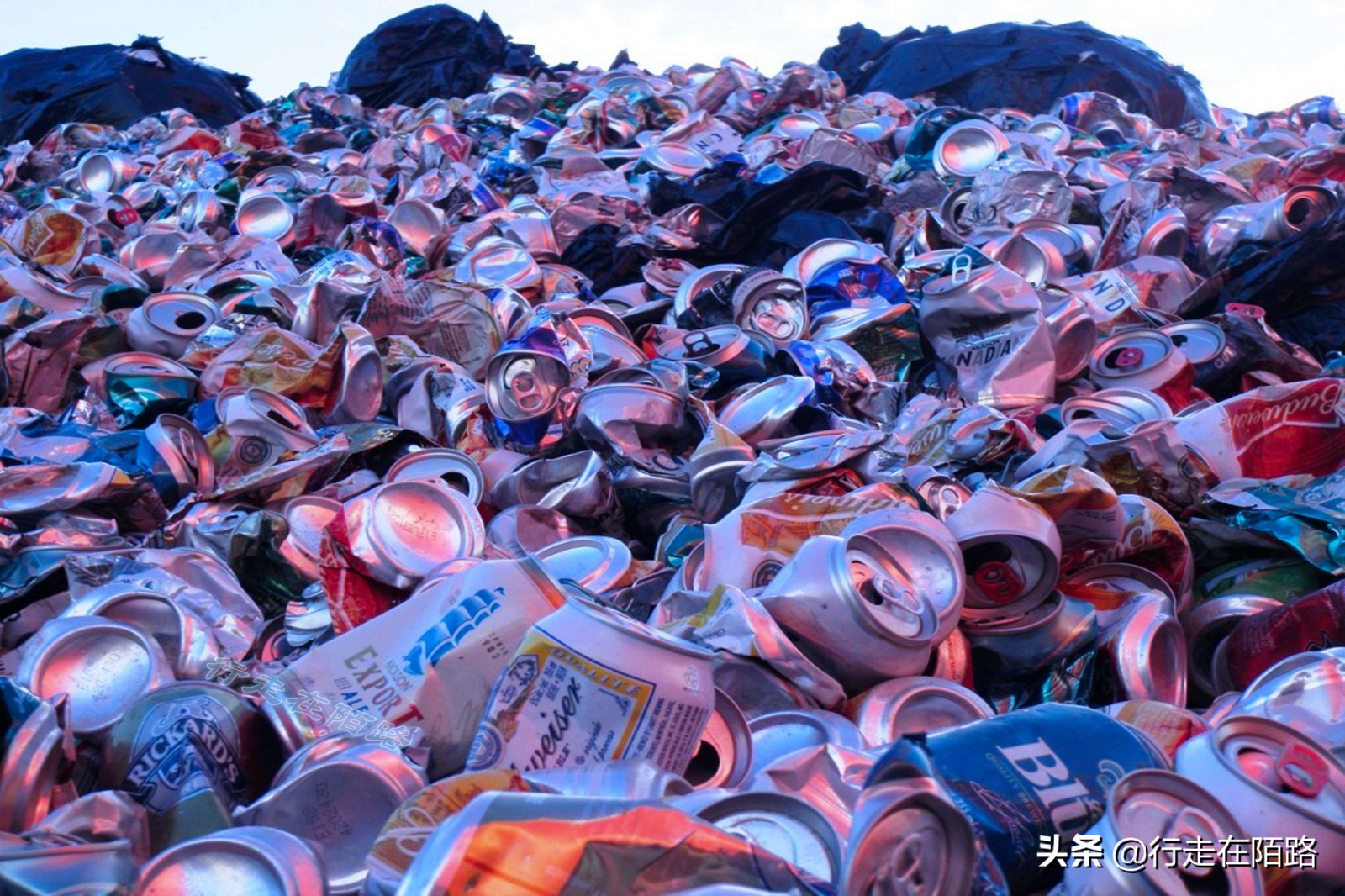 三百年前,加拿大用烟酒毁掉原住民,如今再加上*麻大**