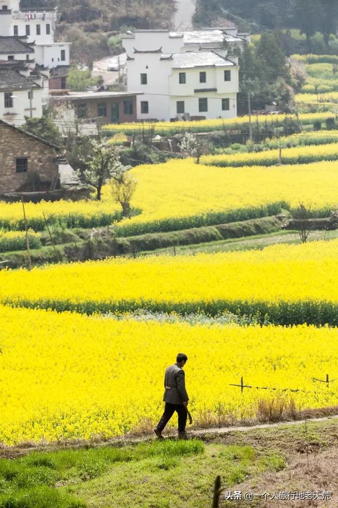 国内最适合一个人旅行的20个地方!去过才懂得什么是自由