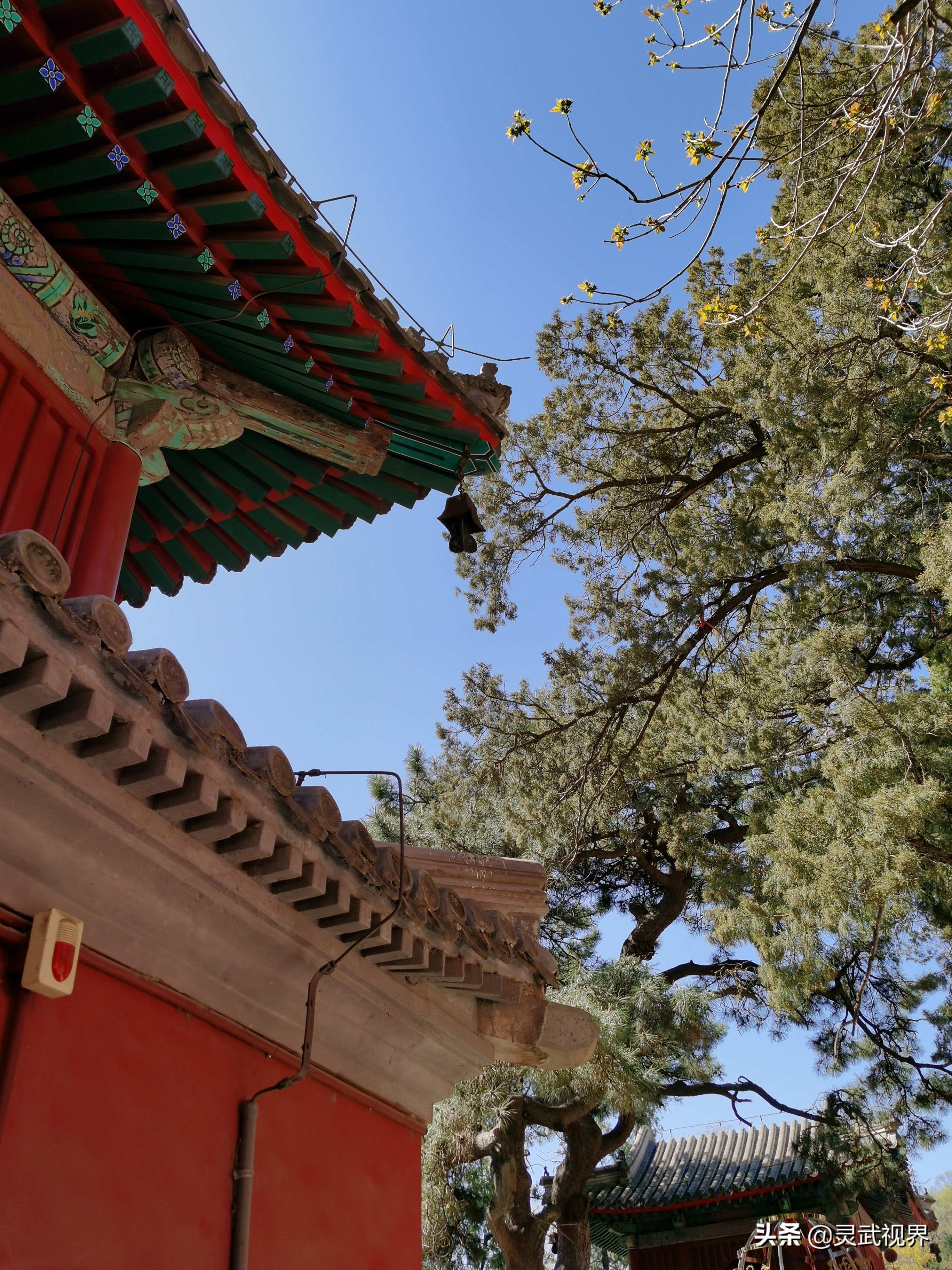 带你看看不一样的装饰,带你看看不一样的家