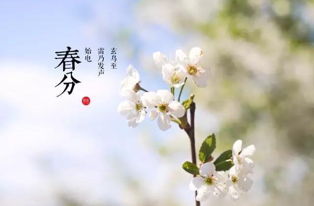 二十四节气春分画,二十四节气春分幼儿园