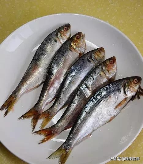 十种廉价海鱼,最常见的便宜海鱼类有哪些