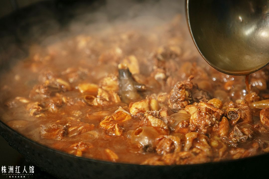 神经哥回归过程,神经哥原唱歌曲