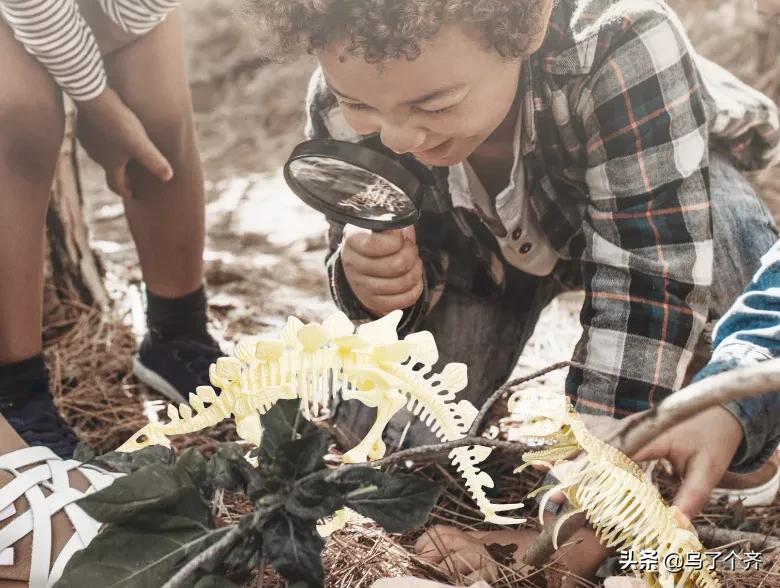 阿唛龙幻想乐园游玩项目,阿唛龙幻想乐园乌鲁木齐游玩路线