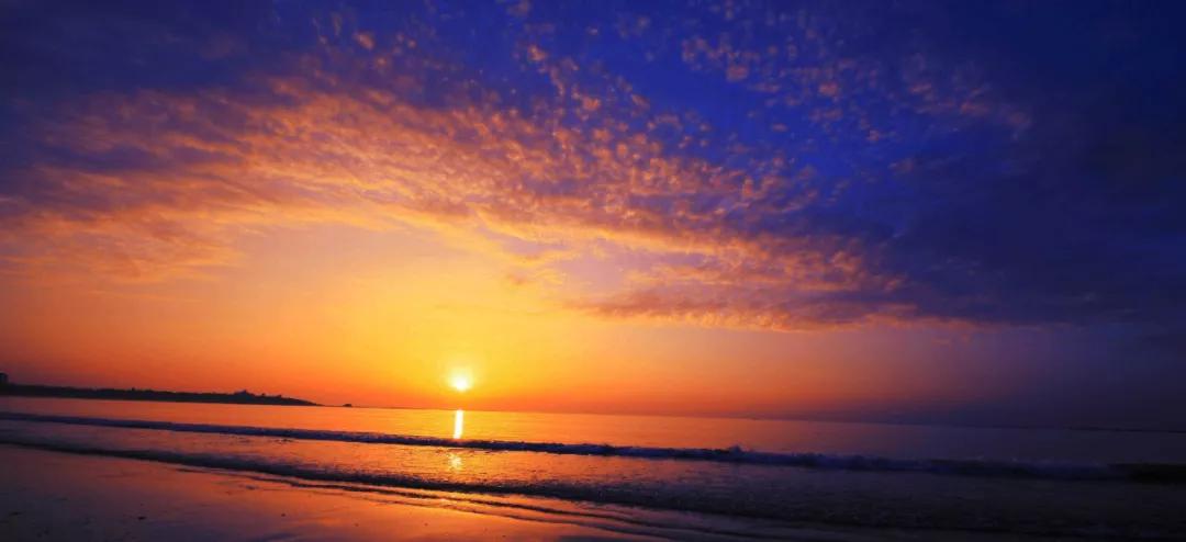 迟子建散文经典美句摘抄,好时光悄悄溜走迟子建