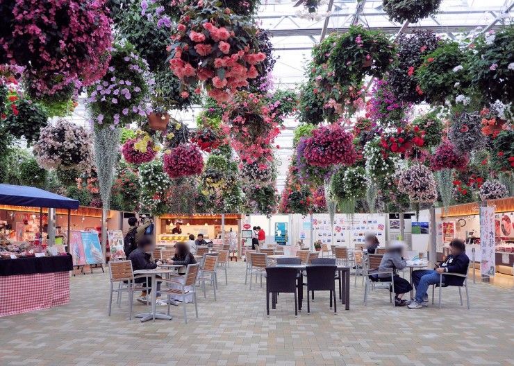 日本最美的吊桥,日本三岛市400米吊桥