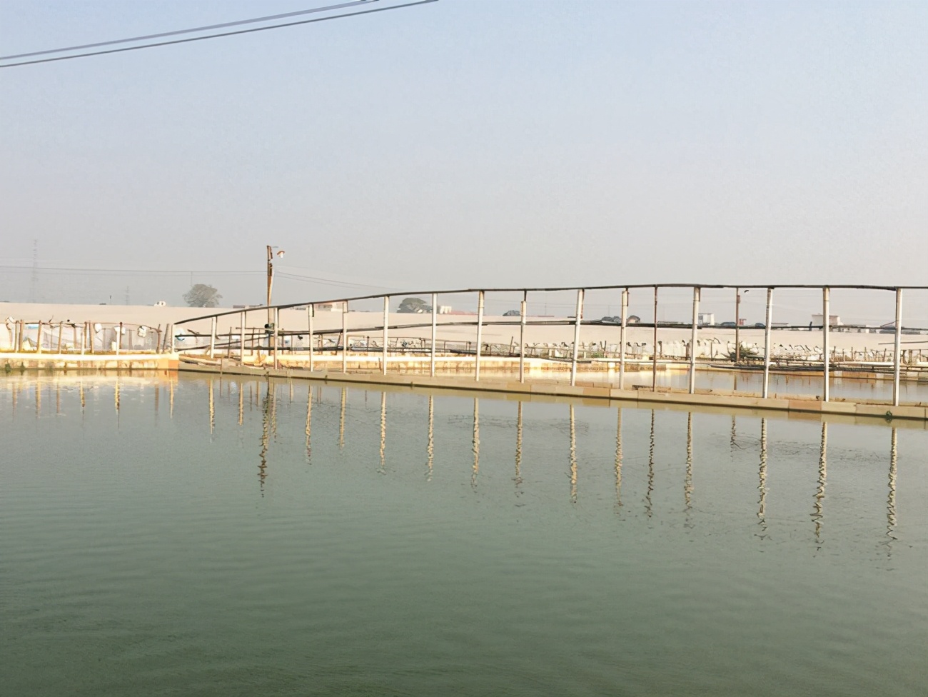 甲鱼养殖水质如何管理,甲鱼养殖水质管理方法与技巧