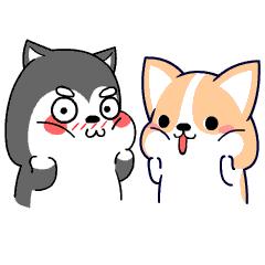 彩铅手绘入门教程零基础,彩铅怎么弄胭脂红