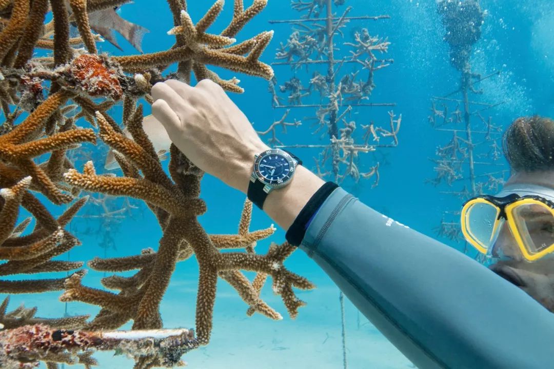 oris豪利时机械腕表artixgt,康卡斯和豪利时潜水表哪个好