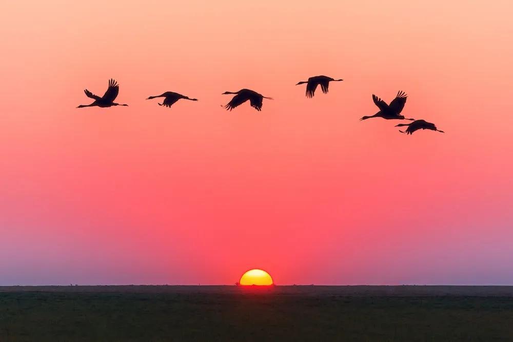 【民教人物】卢志文:让我们和整个世界站在一起