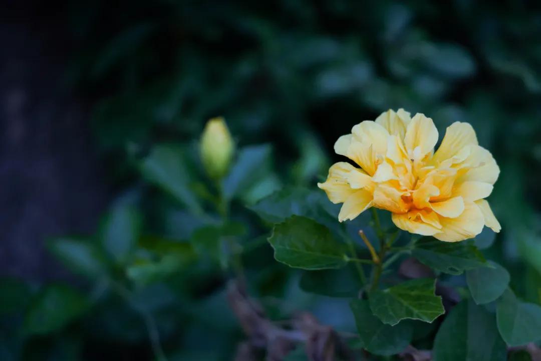 看,这是属于泉信的秋韵