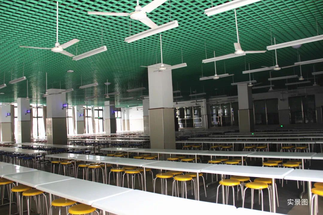 为什么提到树人小学,树人小学为什么好