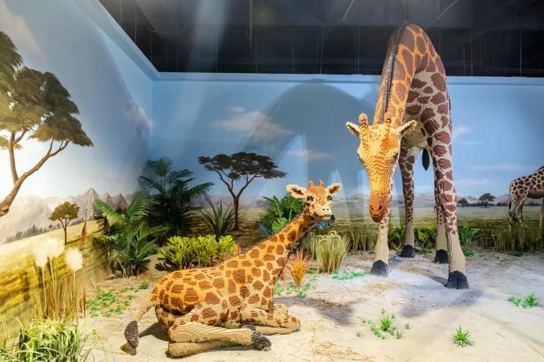 鍗佸ぇ鐑棬浜插瓙涔愬洯娣卞湷,鏂ヨ祫涓や嚎鐨勬父涔愬洯