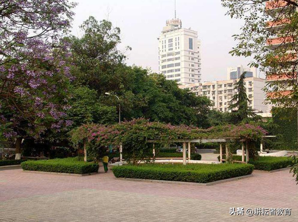 分数低就业率又高的医科大学,分数低的公办医科有哪些