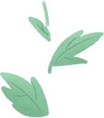 湖北十堰有研究生点的学校,湖北十堰研究生学校