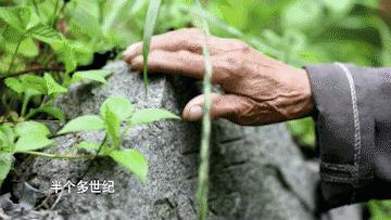 他曾险遭土匪活埋!九旬老兵寻救命恩人