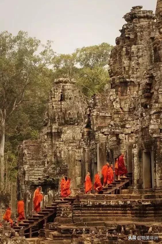 去了非洲才知道，人类才只是这个世界的过路者