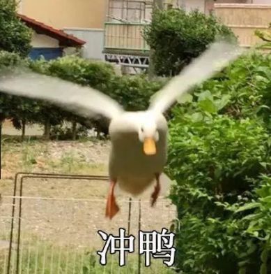 十年一座城的变化,十年间一座城市的变化