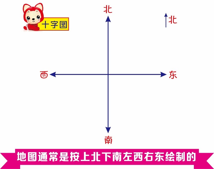 小学数学确定位置和方向有哪四种,小学数学位置与方向的知识结构图
