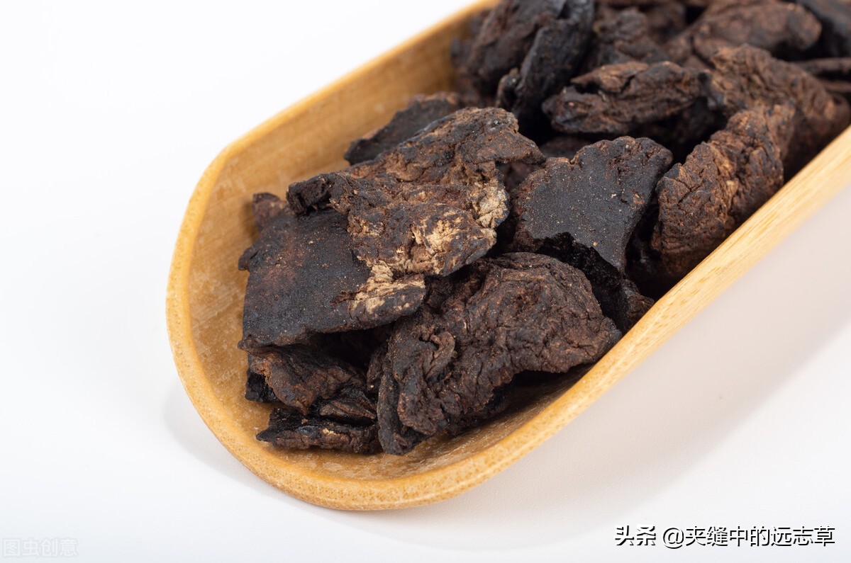 中医骨质疏松吃什么中草药,中医骨质疏松中药调理方法