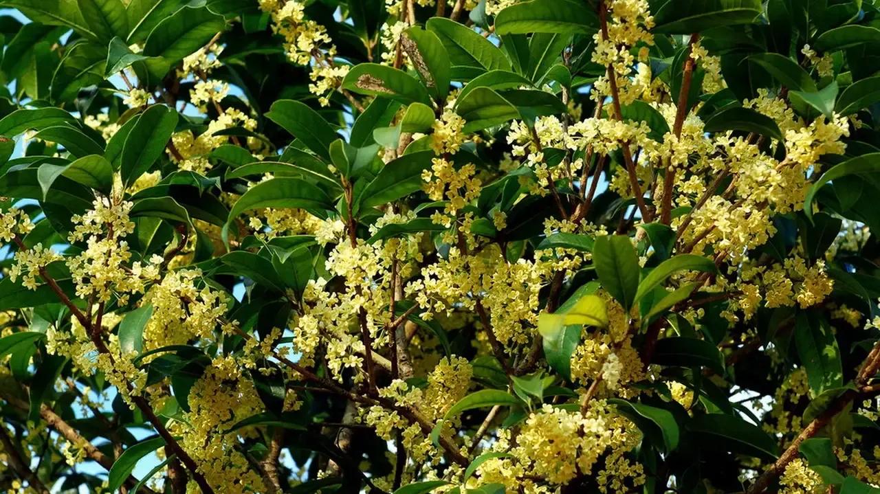 我的九月演员现状,我的九月精彩片段