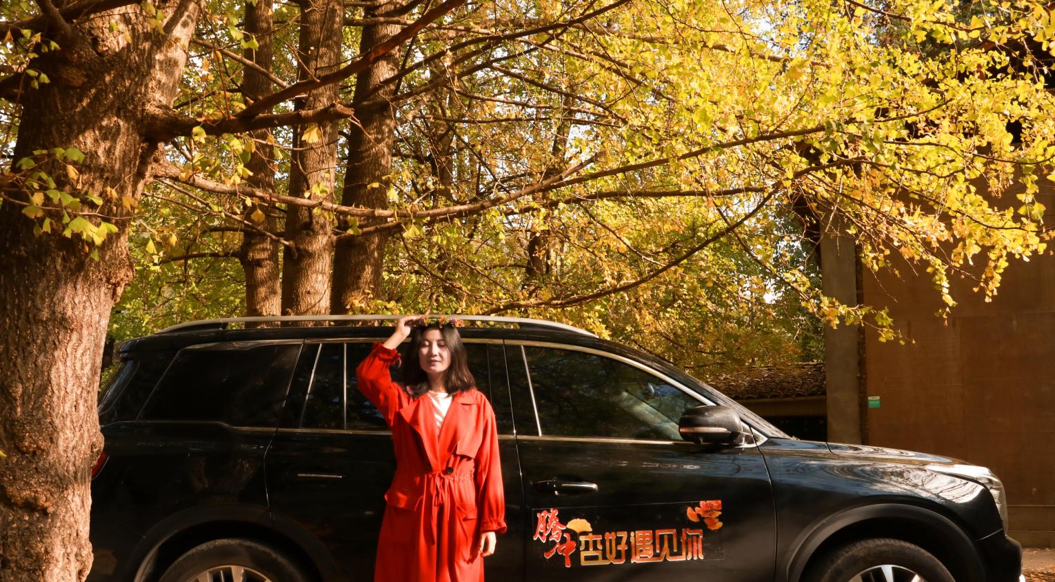 遇见腾冲，银杏叶飘洒，落在贝奇野菜瓶上，不添加的自然