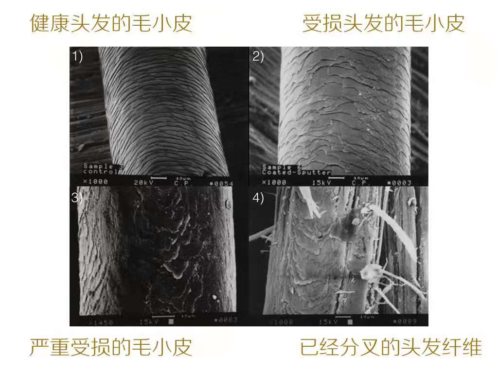 头发湿时很直干了很毛躁,头发烫后湿发很卷吹干毛躁怎么办