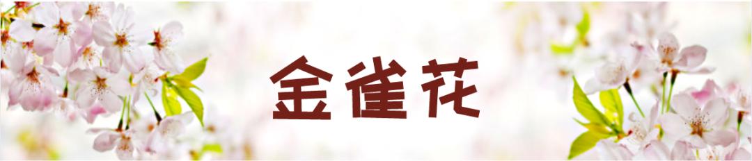 在云南，做一个“花吃”，挺好