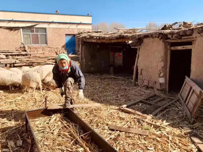 情人节别出心裁的表白,疫情下的情人节最感人的爱情