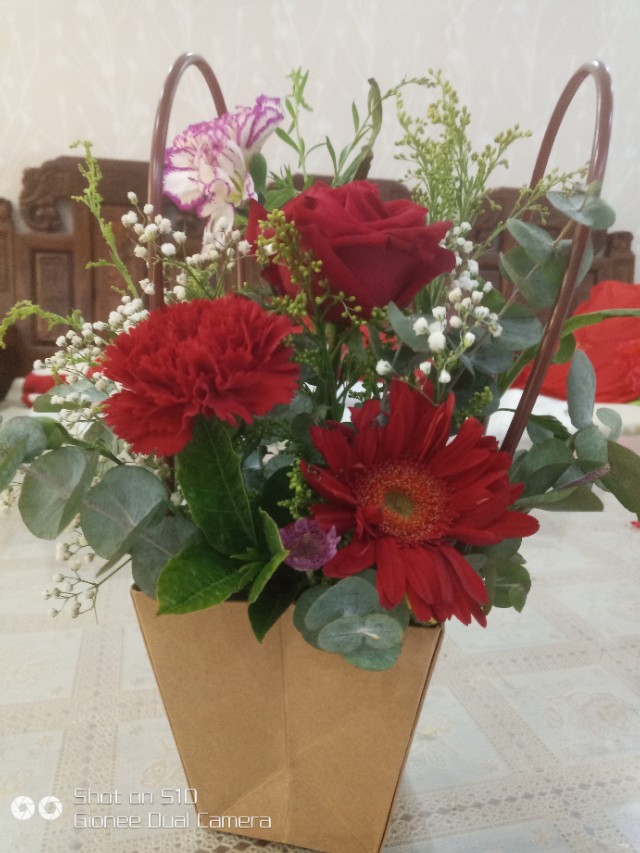 母亲节一束康乃馨,母亲节里的康乃馨图片