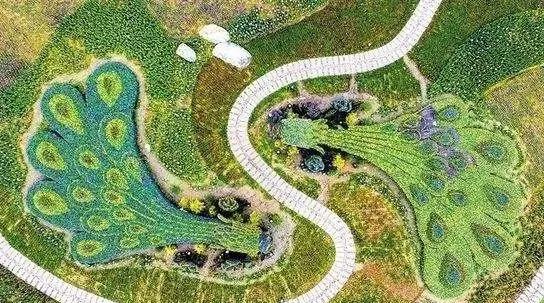 向往的田园生活的感悟,向往田园生活能让人内心宁静