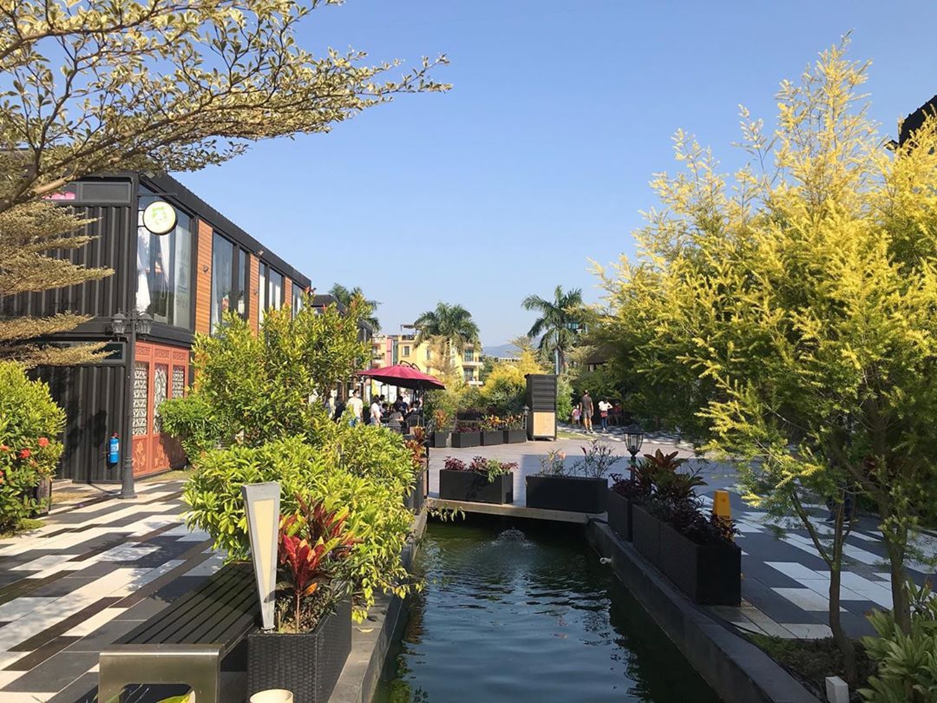 百年树屋，天空之镜，红砖市集，跳蚤市场…尽在锦田