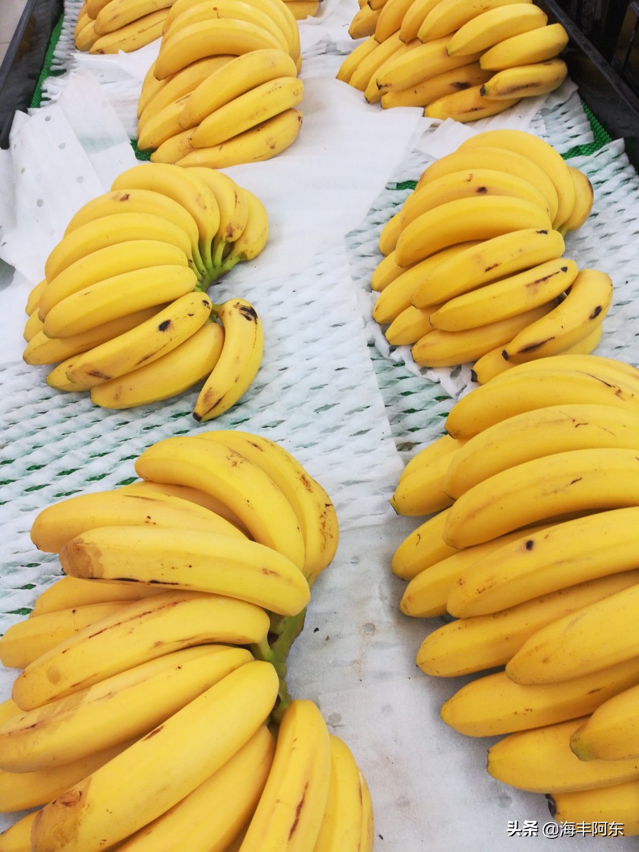 「原创」海丰阿东：香蕉西瓜大蒜，吃法各异都有理