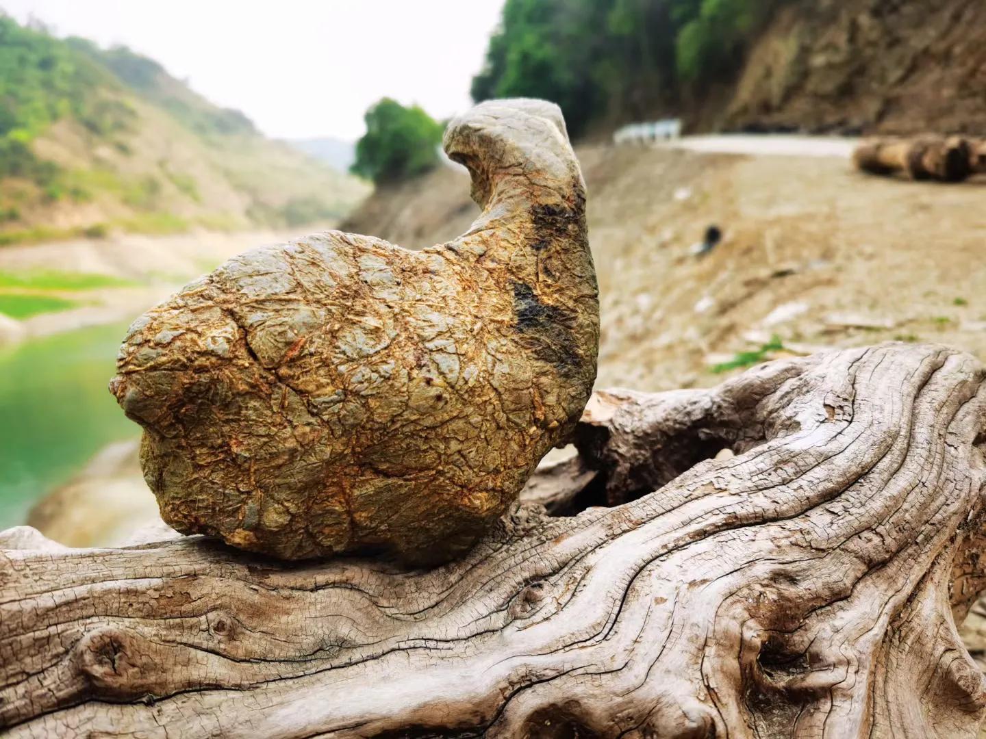 丁力艺术家,丁力院士