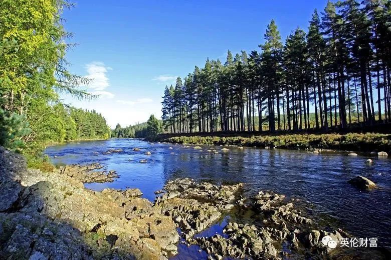 伦敦一套公寓价=万亩庄园,539年来首次出售,女王邻居.带森林河流