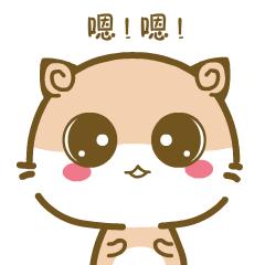 美缝到底是几个意思?其实不是特别贵,作用却很大