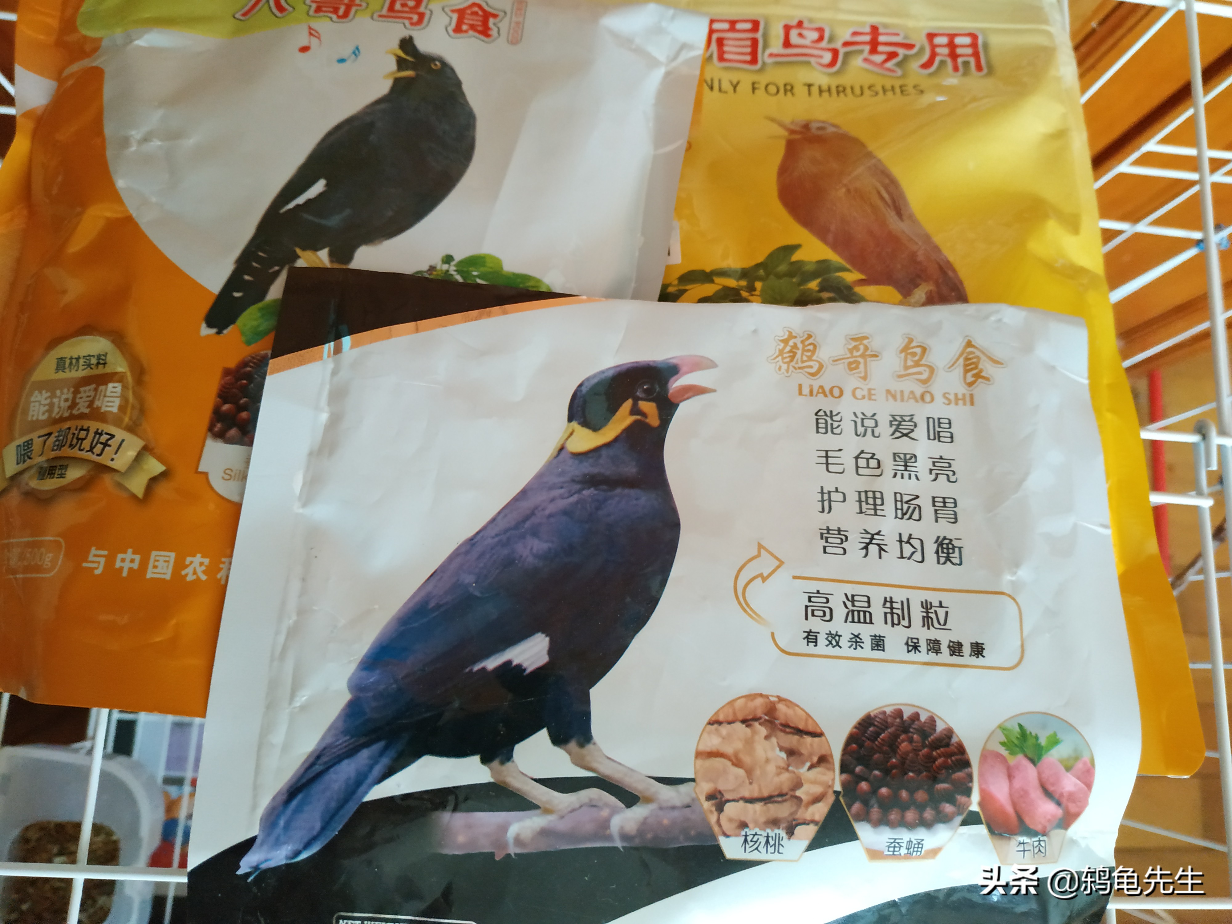 乌鸫为什么会往人头上拉屎,乌鸫为什么会往人身上拉屎