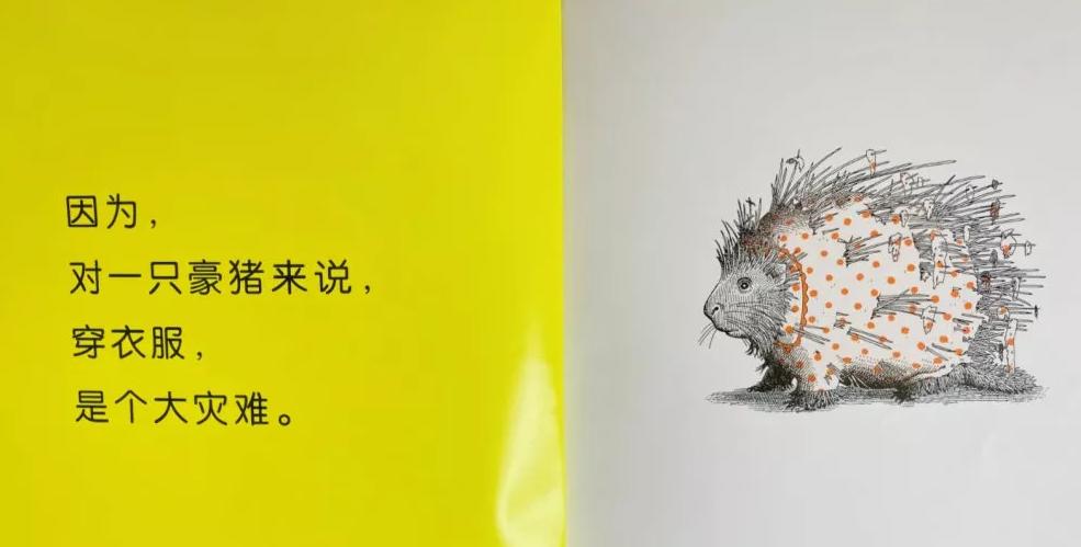 适合5-6岁幼儿看的动物绘本,动物科普绘本