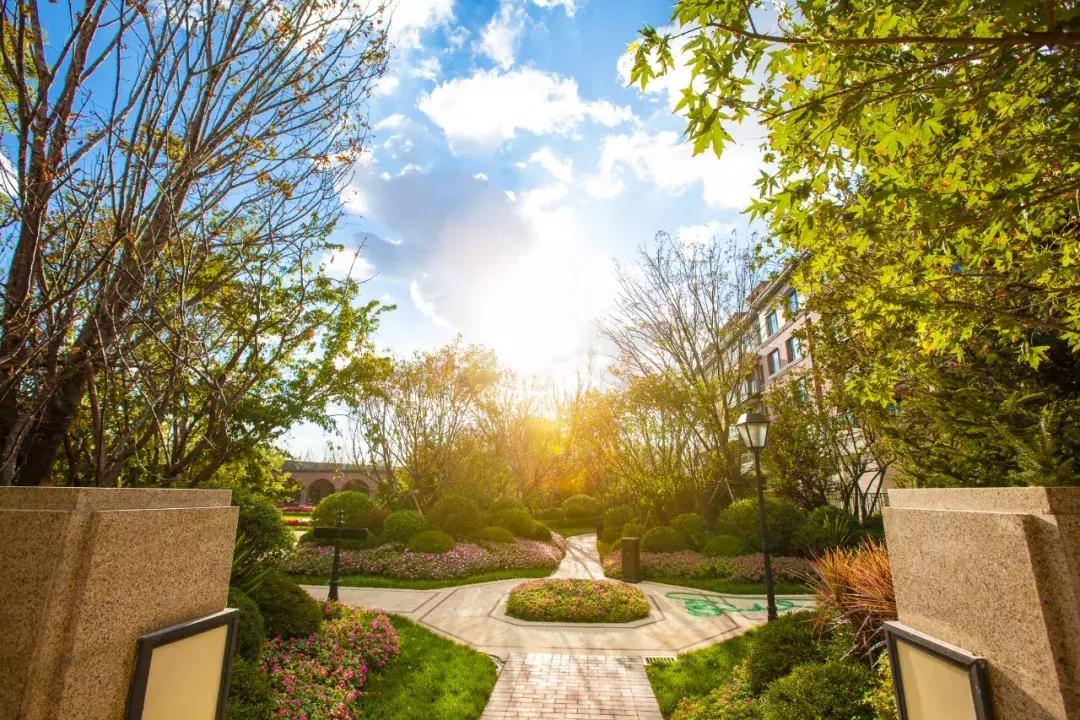 张士沈阳,沈阳市张士开发前景如何