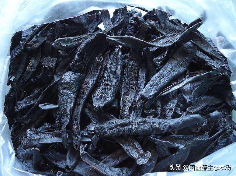 水蛭养殖前景和销路,网箱水蛭养殖技术与市场前景