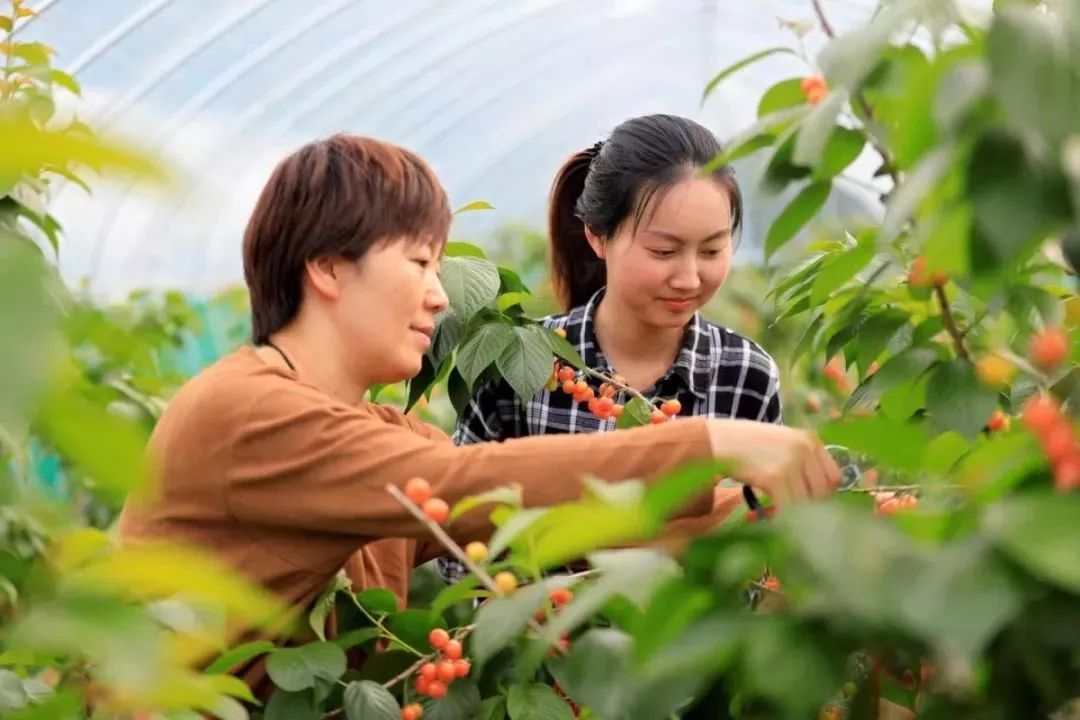 江苏无锡星级乡村旅游区,无锡最出名的旅游村