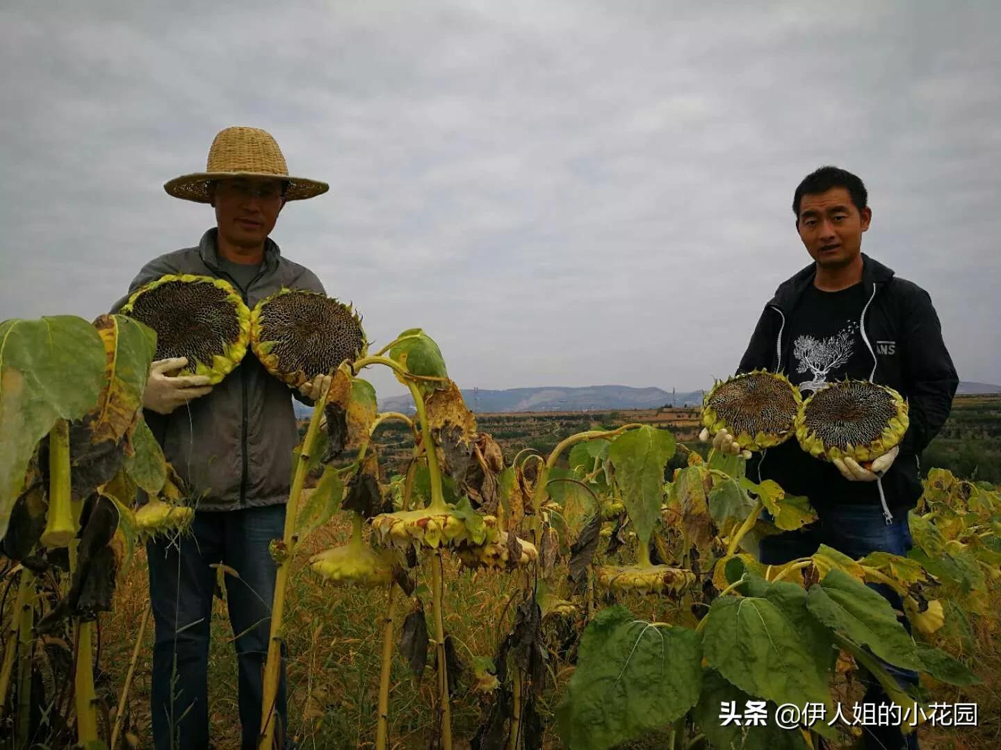 耀州土桥村，我想偷点时光给自己……