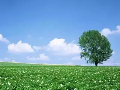 学习成语四个字的,学习成语大全及造句