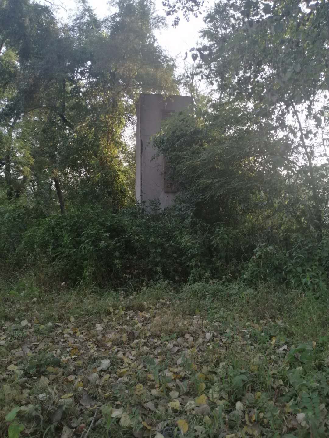 参观沈阳劳模纪念馆感想,参观沈阳历史博物馆的观后感