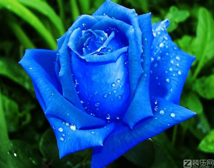 餐厅服务工作站流程